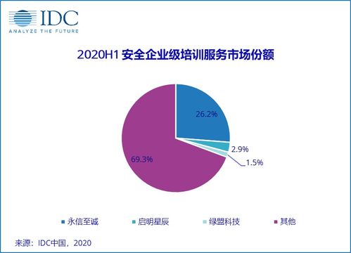 2020上半年中國IT安全服務市場穩健增長，市場規模達40.23億元
